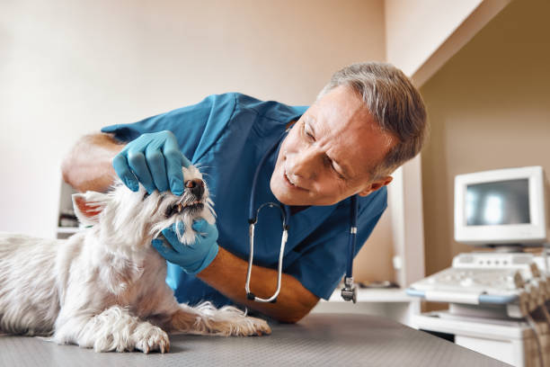 Best Emergency Root Canal Treatment in Morenci, MI