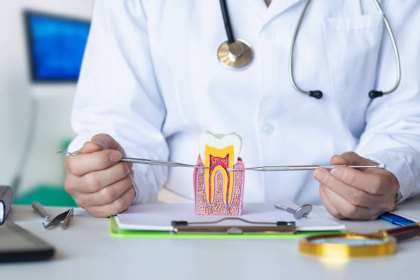 Best Emergency Tooth Extraction in Morenci, MI